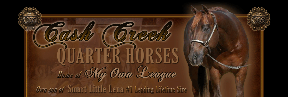 Cash Creek Quarter Horses - Home of My Own League - own son of #1 Leading Lifetime Sire, Smart Little Lena
