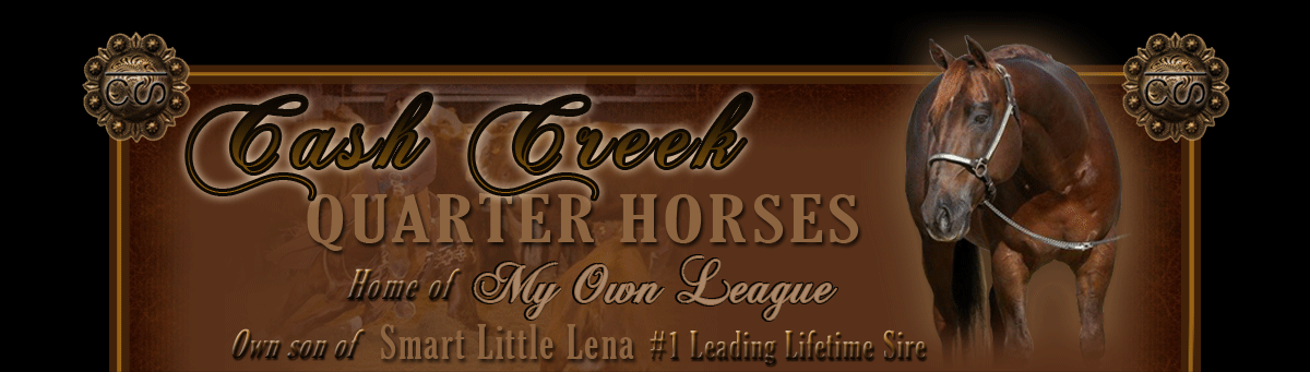 Cash Creek Quarter Horses - Home of My Own League - own son of #1 Leading Lifetime Sire, Smart Little Lena 